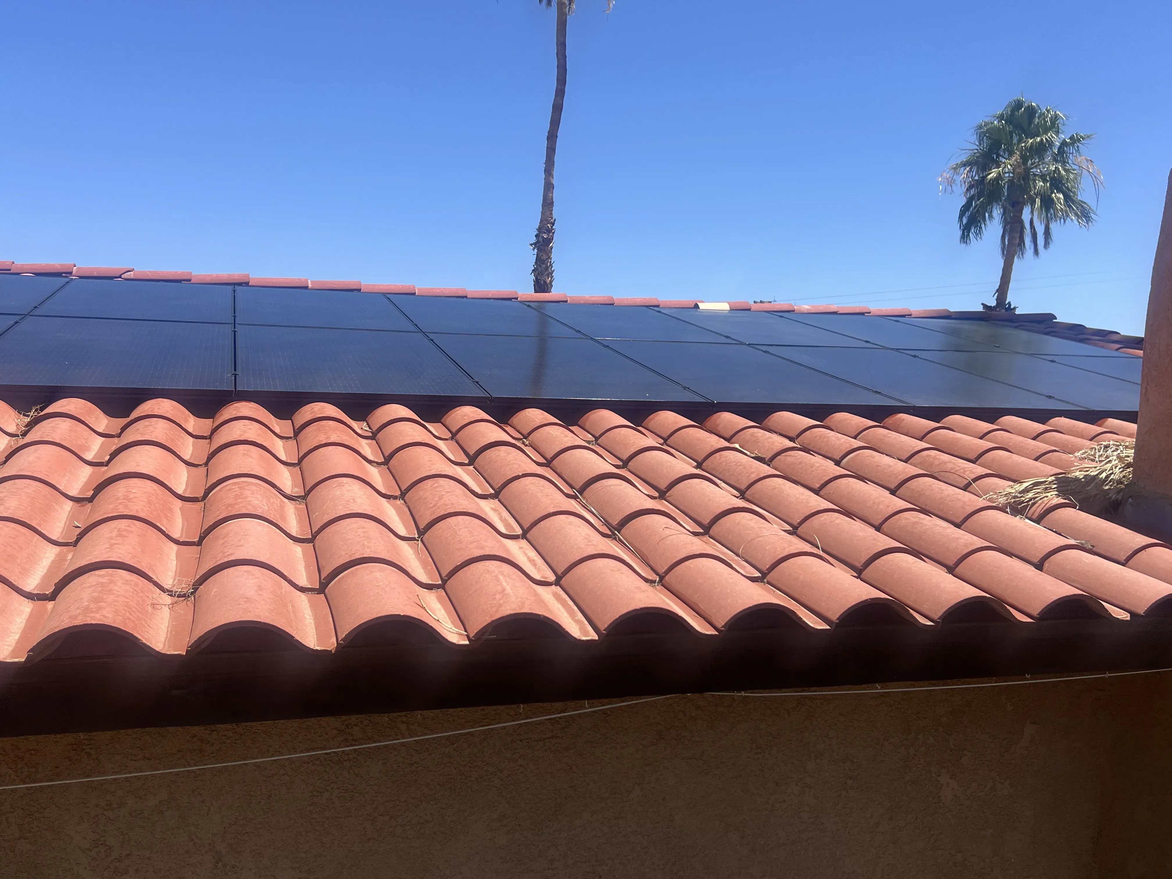 Side-edge view of a solar panel run with palm trees in the background
