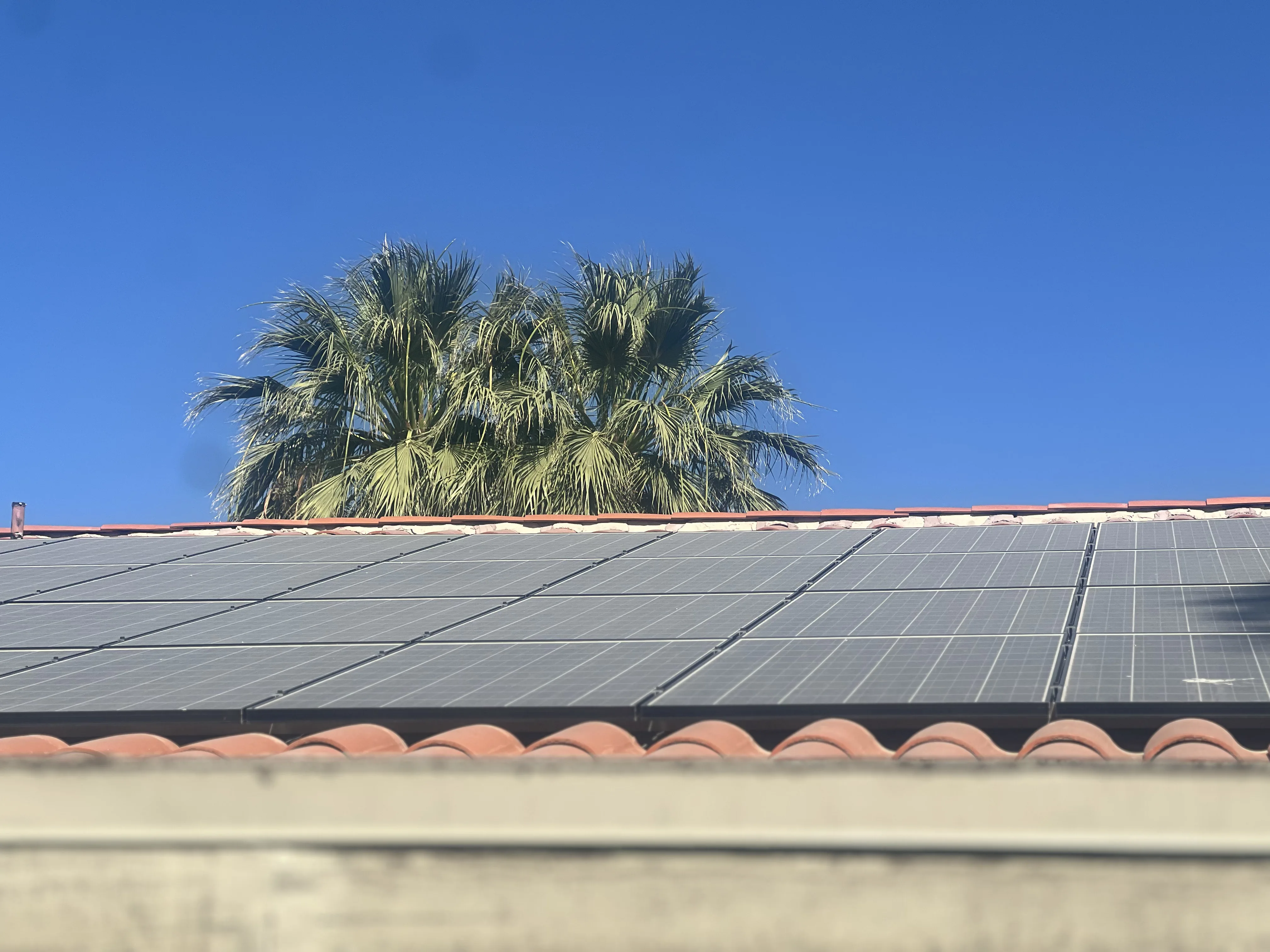 Rooftop solar panels with palm trees rising behind the home under a clear desert sky