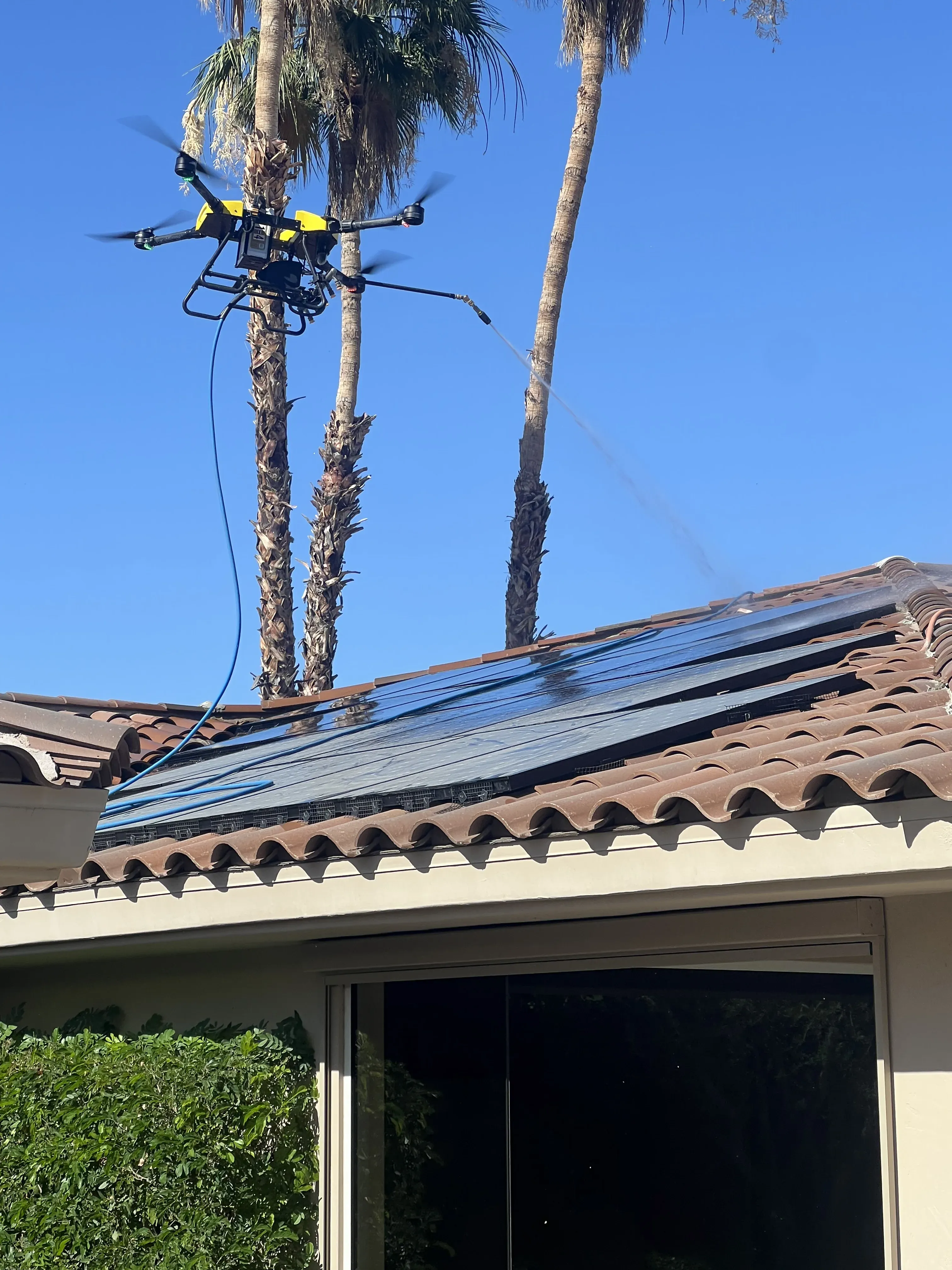 Solar panels across a residential roof with palm trees in the background